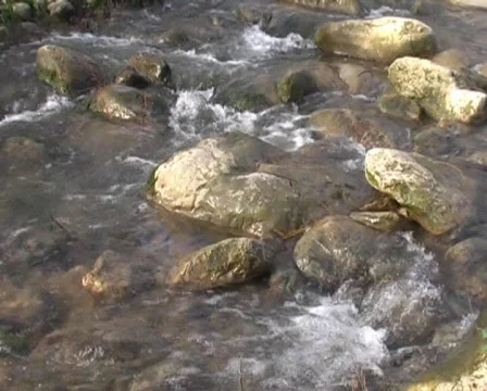 River Видео 62255