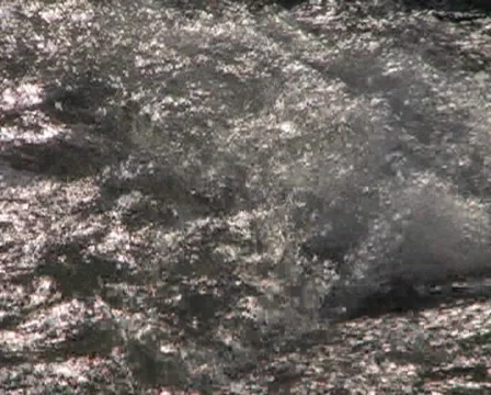 River Stock Footage 62260