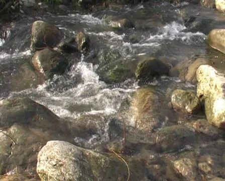 River Stock Footage 62263