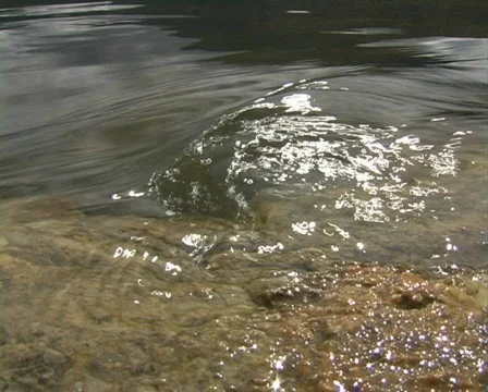 River. Stock Footage 337385