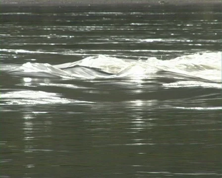 River. Video stock 337396