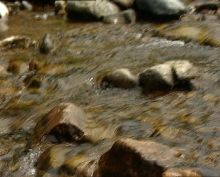 River Stock Footage 337634