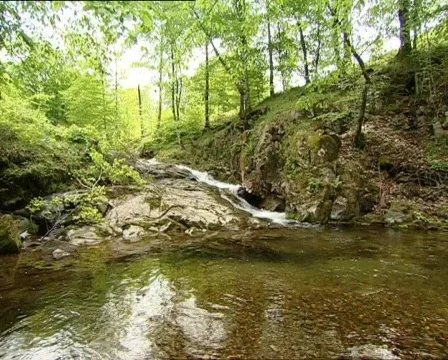 River Stock Footage 337635