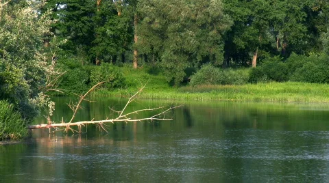 River. Stock Footage 513184