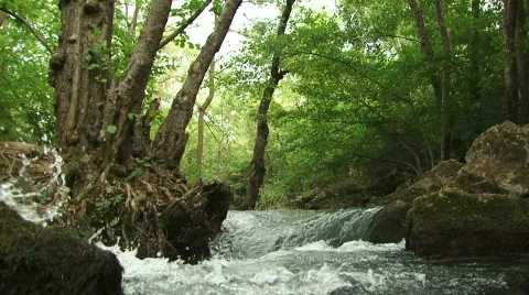 River Stock Footage 582397