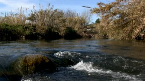 River  库存影片 593019