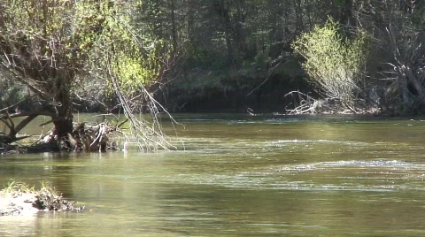 River Stock Footage 594037