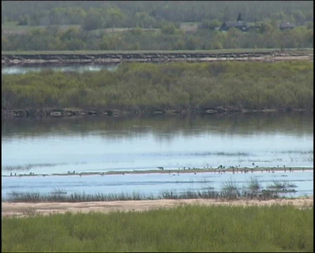 River Stock-Footage 654558