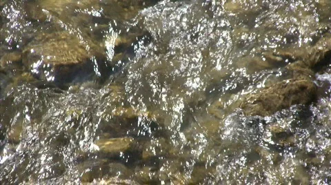 River Видео 661001