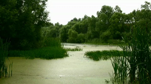 River Stock Footage 842739