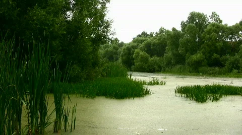 River Stock Footage 842747