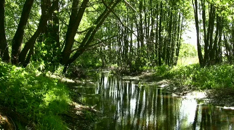 River Stock Footage 857380