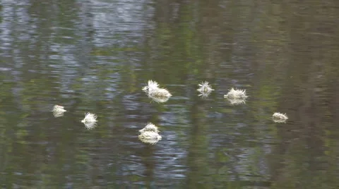 River 스톡 동영상 943104