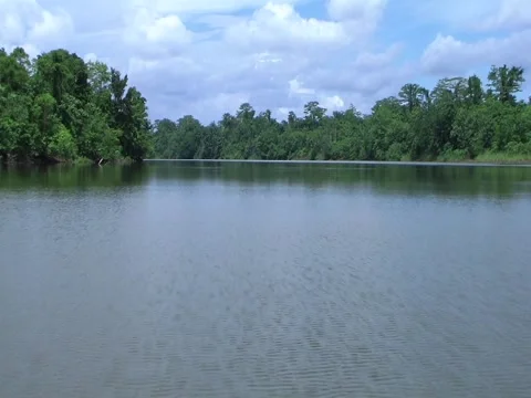 Up River Stock Footage 3505919