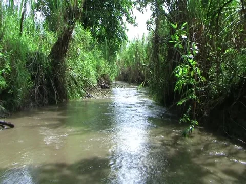 Up River Stock Footage 3511096