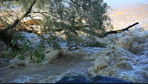 River Stock Footage 7836804