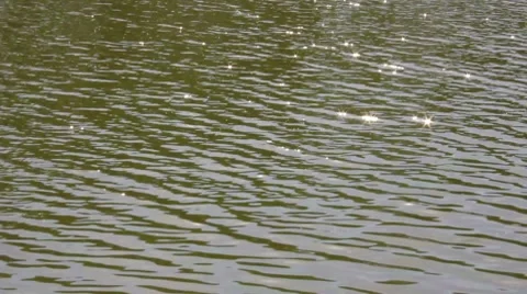 River Stock Footage 8550779
