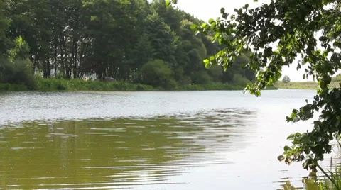 River Stock Footage 8550894