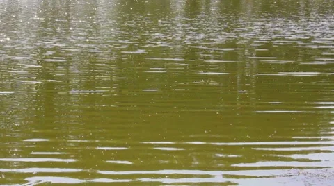 River Stock Footage 8550976