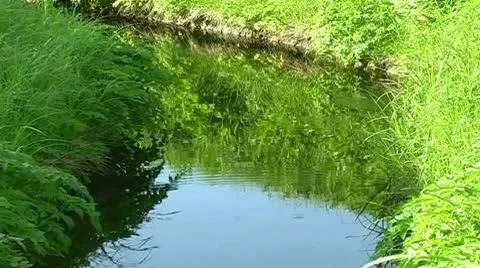 River Stock Footage 9026948