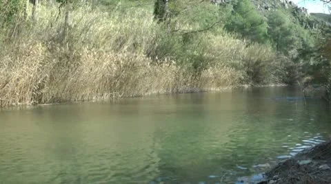 River Stock-Footage 10571149