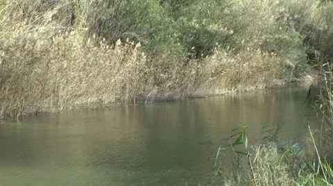 River Stock-Footage 10575355