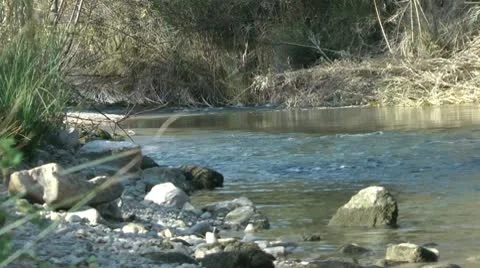 River Stock Footage 10575802