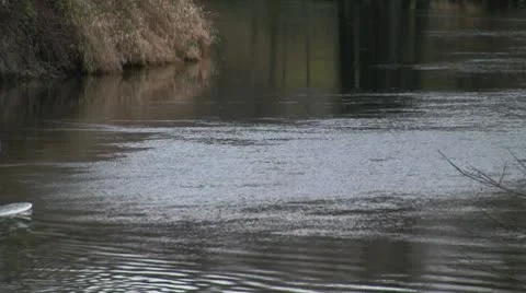 River Vídeos de archivo 10727639