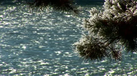 River Stock Footage 10814209