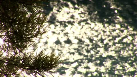 River Stock Footage