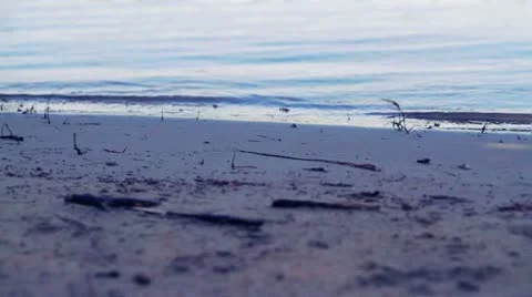 River Stock Footage 10824301