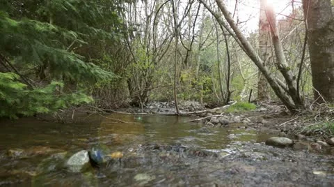 River Stock Footage 10895307