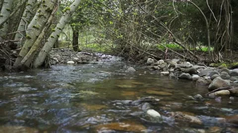 River Stock Footage 10895446