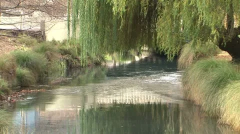 River Vidéo 11014685