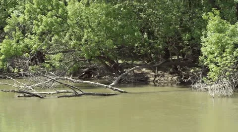 River Stock Footage 11059472