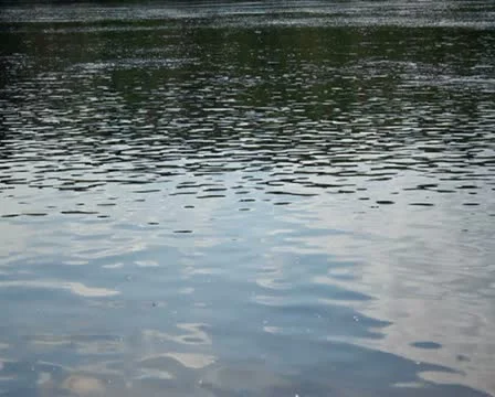 River Stock Footage 11255401