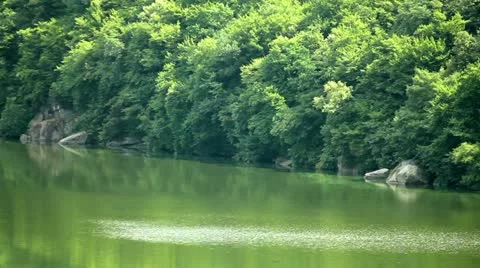 River Stock Footage 11275839
