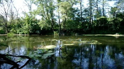 River Stock Footage 11521353