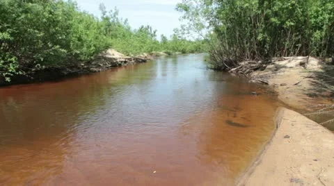 River Stock Footage 11576913