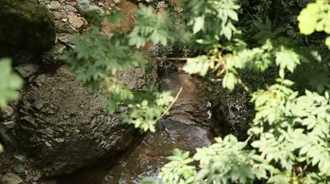 River Vídeos de archivo 11937615