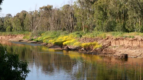 River Stock Footage 22487768