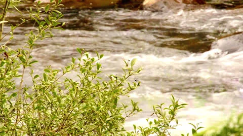 River Video stock 24812808