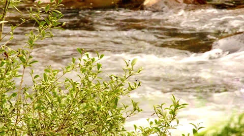 River Stock Footage 24812861