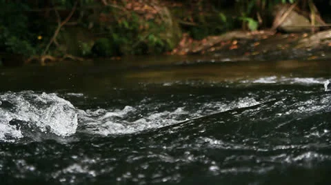 River Stock Footage 25039597