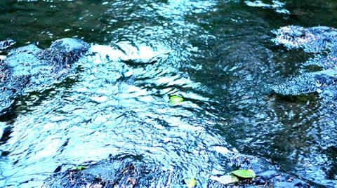 River Video stock 25631931