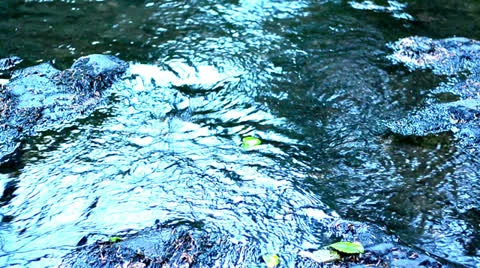 River Video stock 25631973