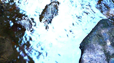 River Video stock 25684195