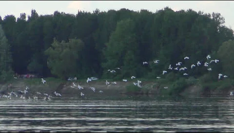 River 스톡 동영상 25823324