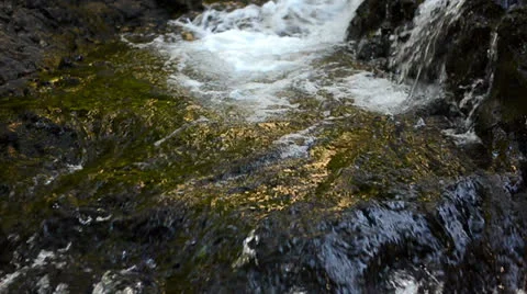 River Video stock 25955867