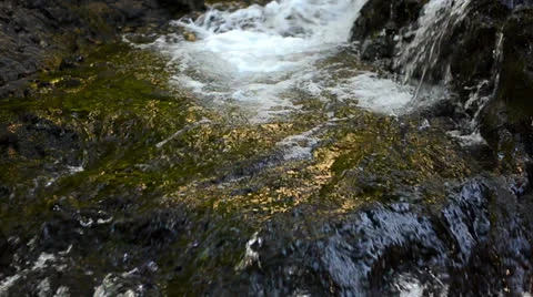 River Video stock 25955902